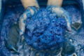 Blue Woad, What is Blue Woad? Discover it here